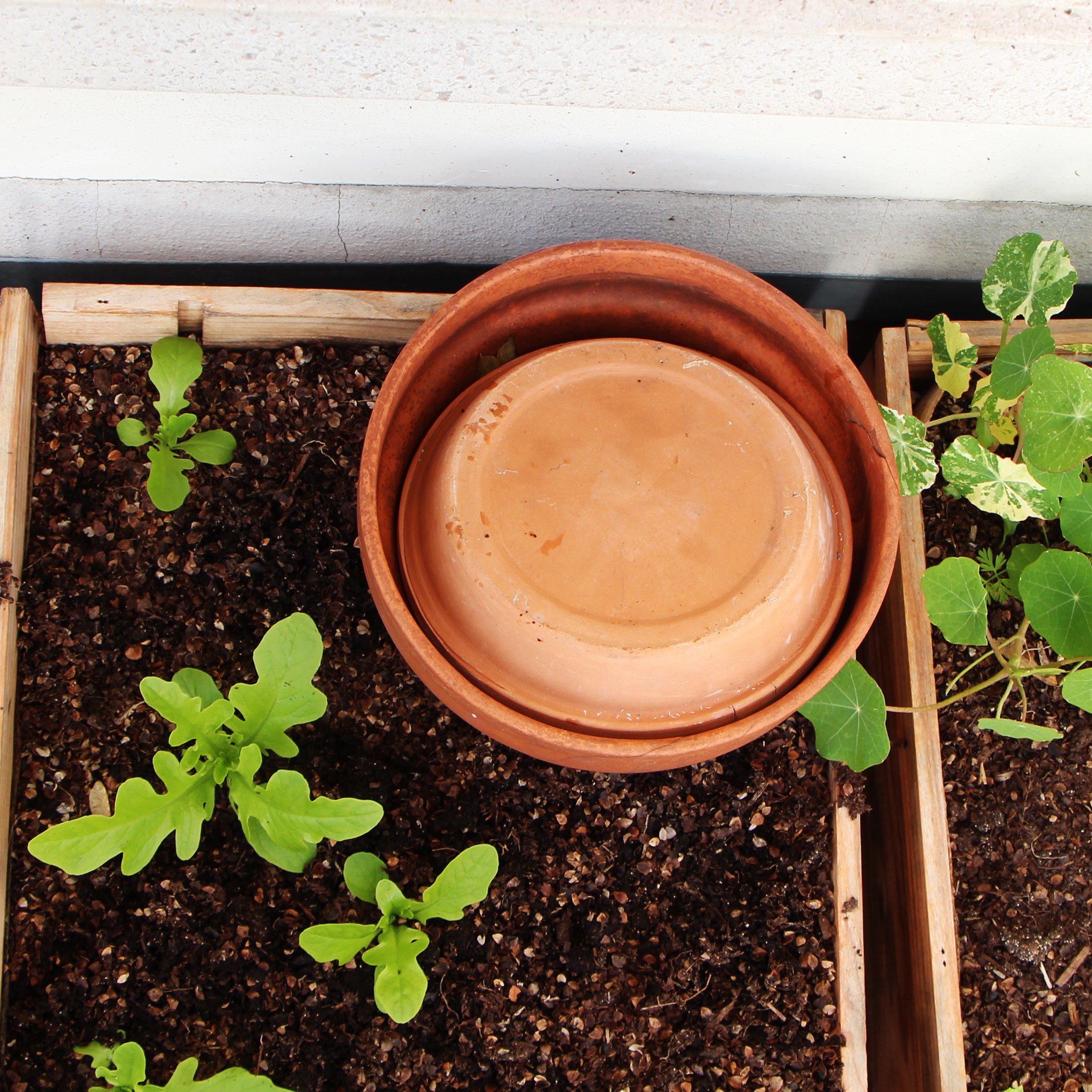 Comment bien intégrer un bac à compost dans son jardin ? - My