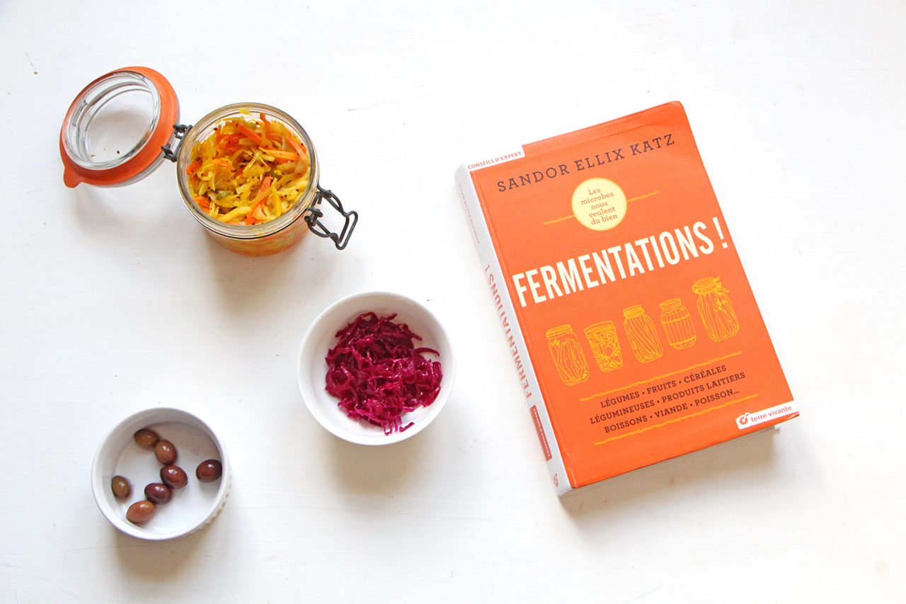 Livre fermentation editions Terre Vivante