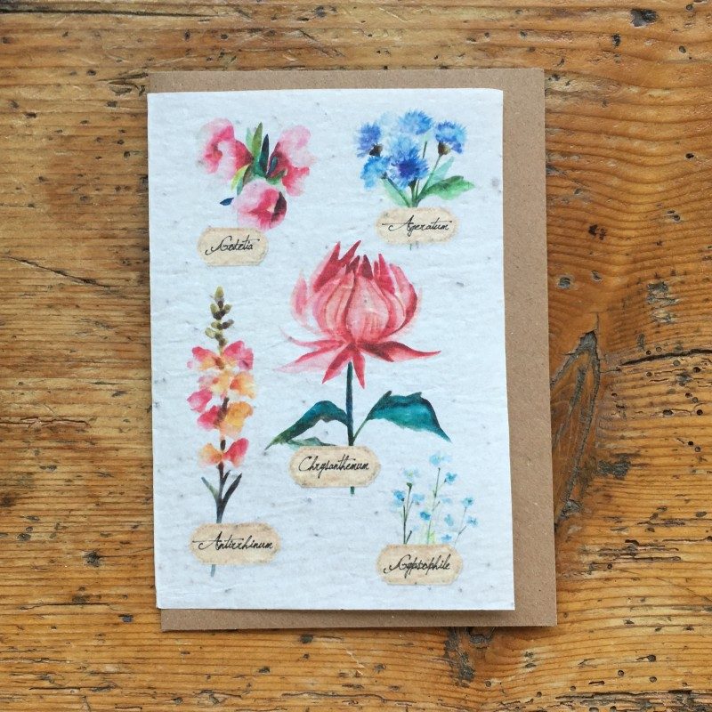 Cartes à planter - Les Cartes de Lulu - Madeleine Décoration