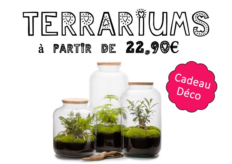 Sélection cadeau Fête des Grands-Mères - Terrariums à partir de 22.90€