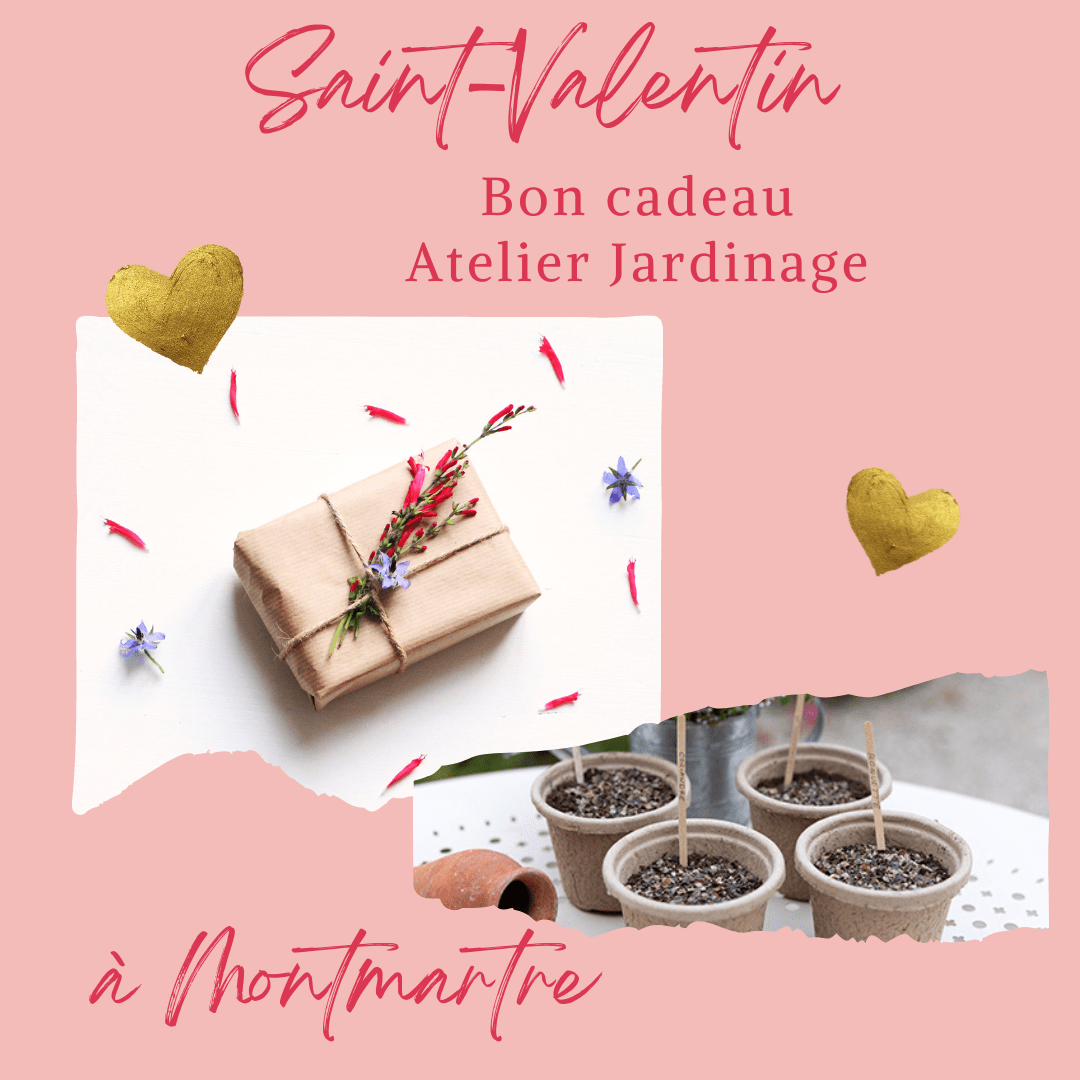 Idée cadeau 💚 - Atelier de jardinage en duo - Montmartre Addict