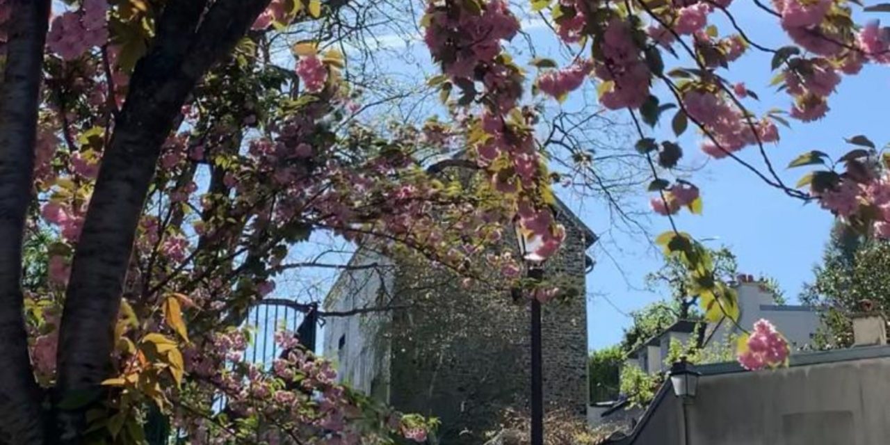 printemps montmartre 01
